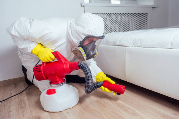 Best Local Pest Control Services  in Youngtown, AZ